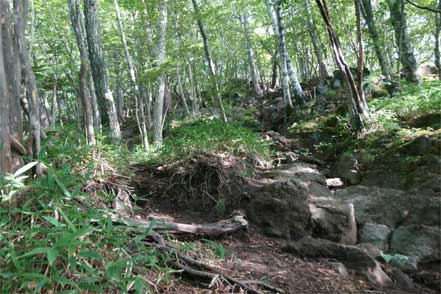 登山道