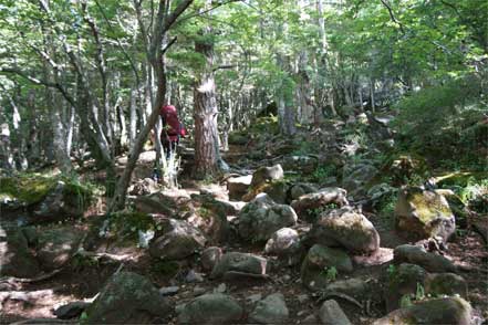 登山道