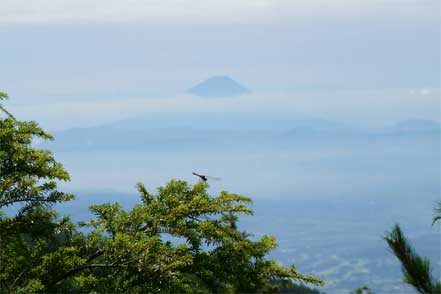 富士山