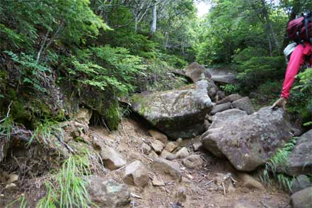 登山道