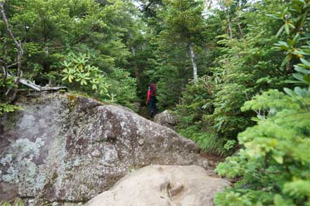 登山道