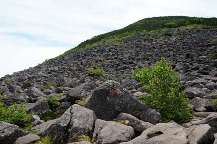 編笠山