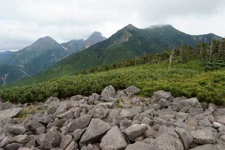 左から阿弥陀岳、赤岳、権現岳