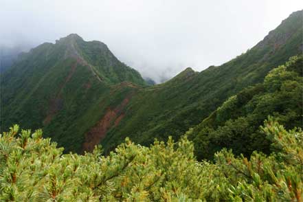 権現岳から赤岳への稜線