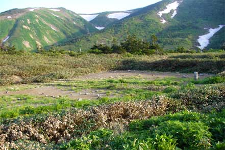 南竜ヶ馬場キャンプ場