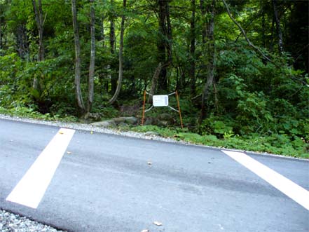 �ԓ������f