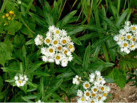 ���}�n�n�R