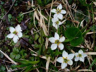 �~�c�o�m�o�C�J�I�E����