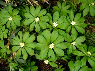 �L�k�K�T�\�E