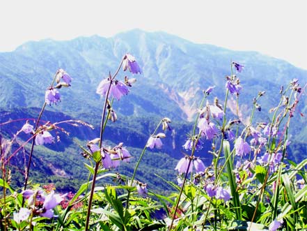 �n�N�T���V���W��