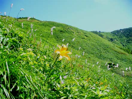 �j�b�R�E�L�X�Q