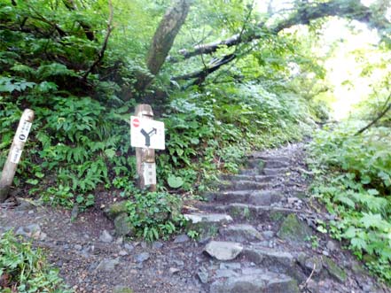 一方通行区間分岐