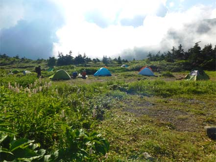 南竜ヶ馬場キャンプ場
