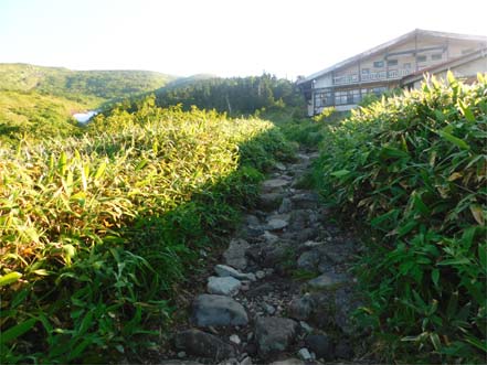 ビジターセンター