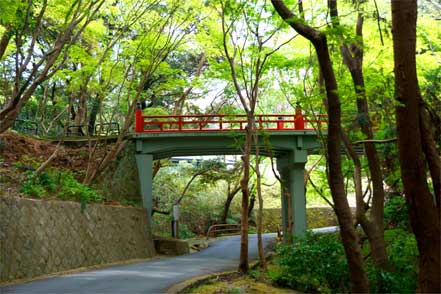 京都一周トレイル