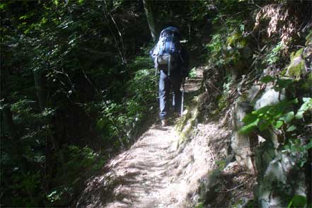 登山道