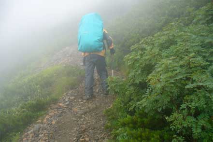 登山道