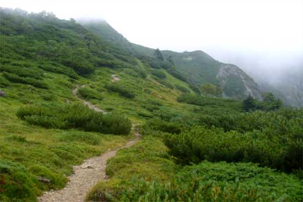 登山道