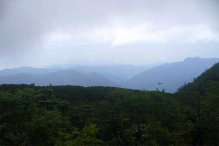 登山道から