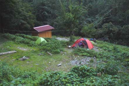 横窪沢小屋テント場