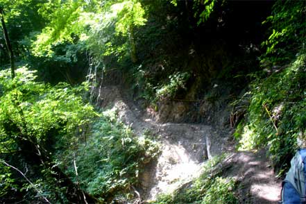 登山道