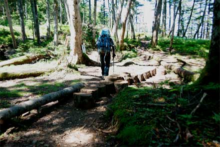 登山道