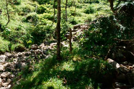 涸れ沢の登り