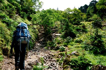 登山道