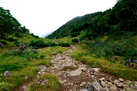 静高平水場