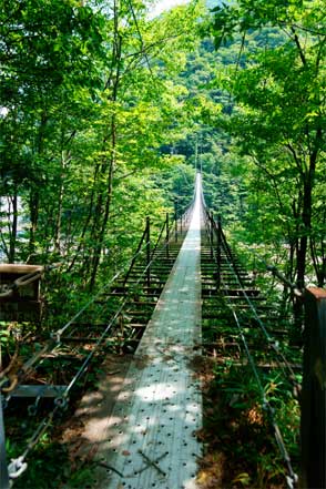 畑薙大吊橋