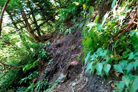 登山道