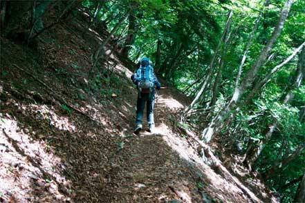 登山道