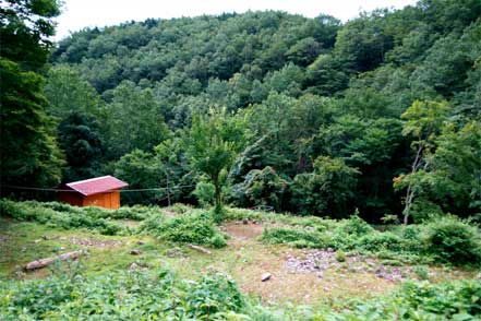 小屋下のテント場