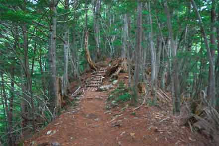 尾根道