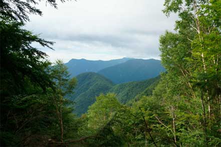 ベンチから光岳の方向？