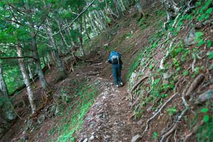 登山道