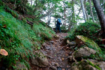 登山道