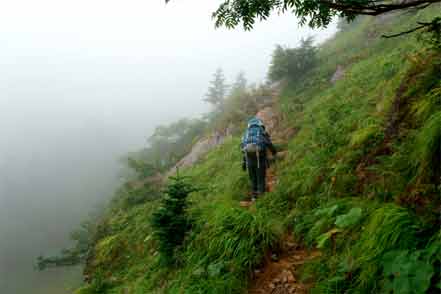 登山道