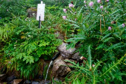 茶臼小屋湧水