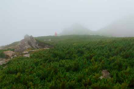 登山道