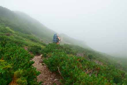 登山道