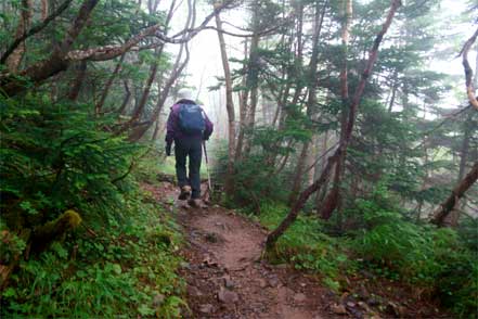 登山道