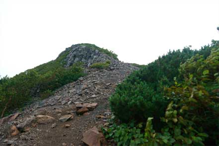 登山道