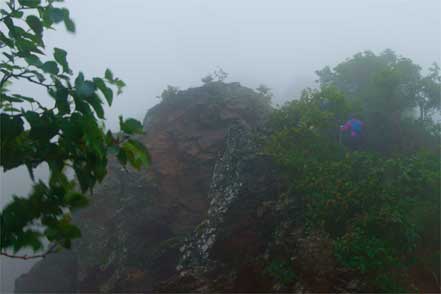 登山道