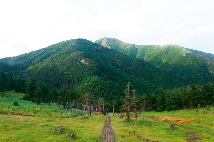 小聖岳と聖岳