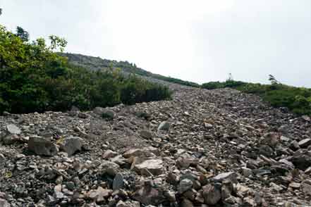 登山道