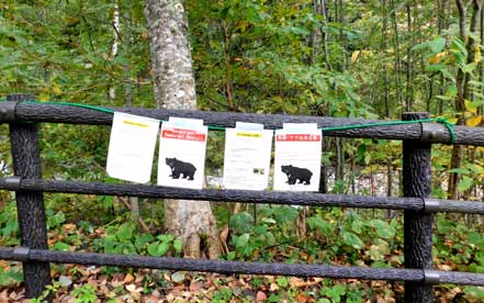 �F�o�v����