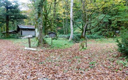 �����L�����v��