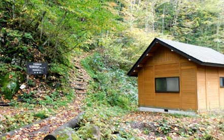 �����L�����v��