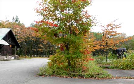 �畽���n���ԏ�